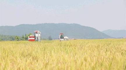 政策東風(fēng)至，農(nóng)機(jī)企業(yè)迎轉(zhuǎn)機(jī) 聚焦農(nóng)業(yè)生產(chǎn)托管服務(wù)的六大戰(zhàn)略機(jī)遇